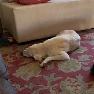 Meet your Posher, Marc